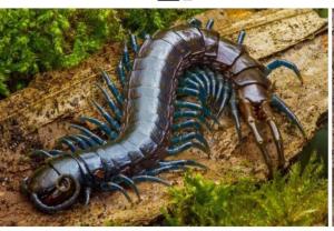 Screenshot_20250923_111513_Yandex Start.jpg