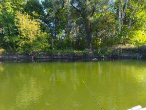 WhatsApp Image 2025-09-15 at 09.41.08 (2).jpeg