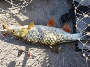 WhatsApp Image 2025-09-15 at 09.41.09 (1).jpeg