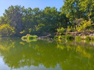 WhatsApp Image 2025-09-15 at 09.41.09 (2).jpeg