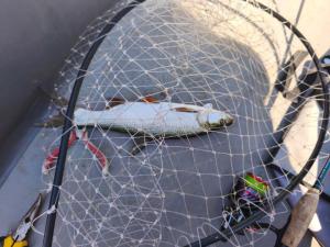 WhatsApp Image 2025-09-15 at 09.41.11 (1).jpeg