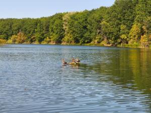 WhatsApp Image 2025-09-15 at 09.41.12 (1).jpeg