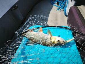 WhatsApp Image 2025-09-15 at 09.41.13 (1).jpeg