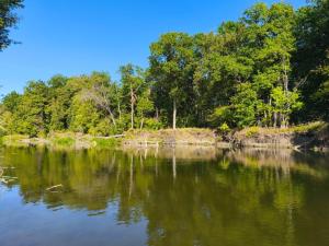 WhatsApp Image 2025-09-15 at 09.41.09.jpeg