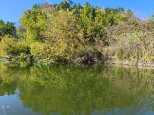 WhatsApp Image 2025-09-15 at 09.41.10.jpeg