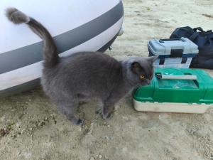 WhatsApp Image 2025-09-15 at 09.41.12.jpeg