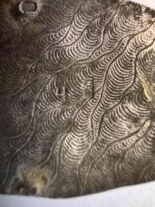 WhatsApp Image 2025-09-30 at 10.02.14.jpeg