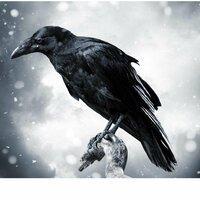 Raven87