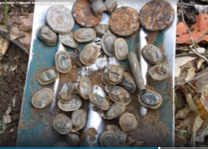 Снимок экрана 2025-10-30 222048.png