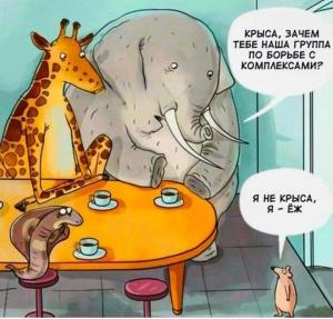 Screenshot_20251024_202209_Yandex Start.jpg