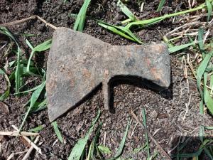 1000 руб. (3).jpg