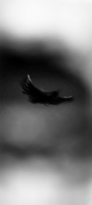 Без названия722.png