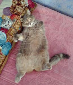 FullSizeRender (2)~2.jpg