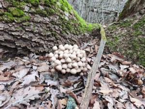 WhatsApp Image 2025-11-10 at 13.13.00 (1).jpeg