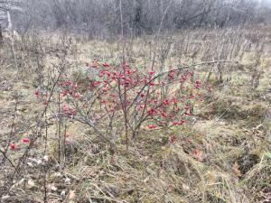 WhatsApp Image 2025-11-10 at 13.13.01.jpeg