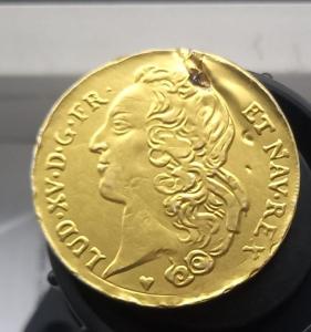 WhatsApp Image 2025-11-10 at 14.03.46.jpeg