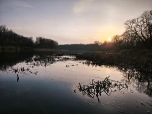 WhatsApp Image 2025-11-22 at 16.03.54.jpeg