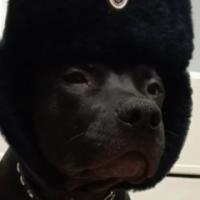 Бармалей_воды_Налей