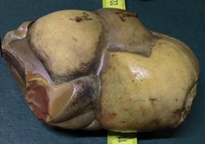 камни и тушилка 002.JPG