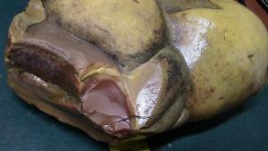 камни и тушилка 007.JPG