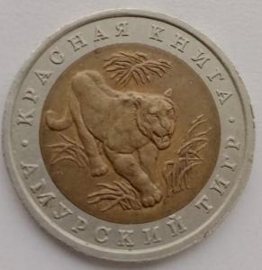 WhatsApp Image 2025-11-24 at 11.33.48.jpeg