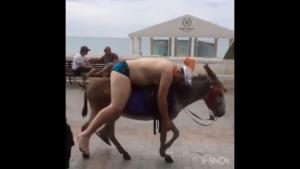 i - 2025-12-26T073126.533.jpeg