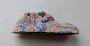 PXL_20260131_074816254_новый размер.jpg