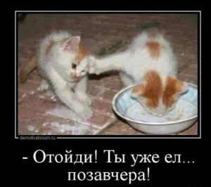 Screenshot_20260117_105014_Yandex Start.jpg