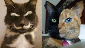 i - 2026-01-07T124831.918.jpeg