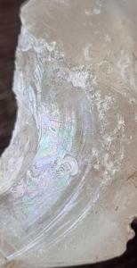 20260326_134705.thumb.jpg.5bb2a3ead7a387414f3ca7852ae83651.jpg