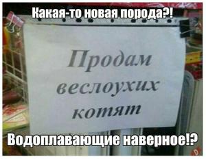 26c0ea5c98b2e001e99f4aa40fbb816b.thumb.jpg.ccc391def01c49eddb6af55a2d2554d3.jpg