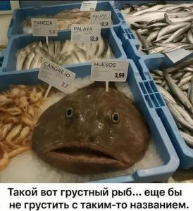 275a91da4df14d093a81b4bf4c667072.thumb.jpg.db07b58d0d878ddeb3c678cee0b1ee57.jpg
