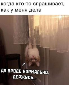 27ec59eb6cc9edabc3199d14847d0914.jpg