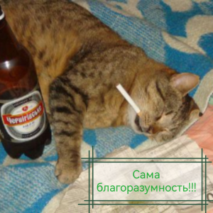 66ce0ba9-a505-4134-967c-3ae82f883b9e_1550905611862_edit_620789370675584.thumb.png.3e9acb4ecb7252583d81ce35e9632fc4.png