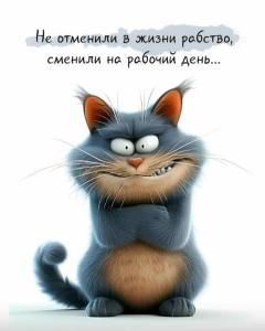 6f70dcfc714f6b1cfc7c988aacce6dd0.jpg