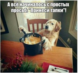 8dfa4be0445a25cc80ddc03f8b930a52.jpg