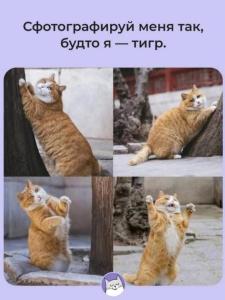 92f8861d8adf6acd3c19548ed5c83b9a.thumb.jpg.3146981f4ee0f41c0e8ea5a9f1be12c2.jpg