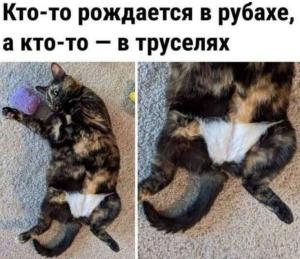 94ae433a14f0cc21b800e6636e90c9b1.thumb.jpg.1680139d6da0da94ea3f055a0b4ede8e.jpg