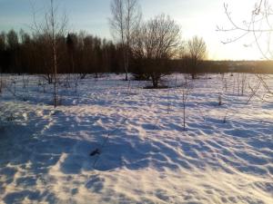 IMG_20260323_070238.jpg