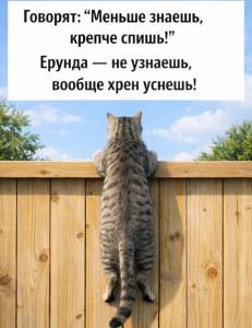 IMG_20260326_113419_585.thumb.jpg.3ce6d79f6ccf5472c1fe0c66faef3bc9.jpg