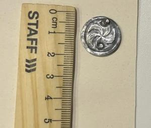 IMG_20260326_200840_340 (1).jpg