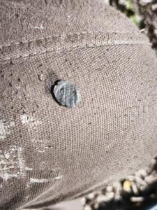 IMG_20260329_132025.jpg