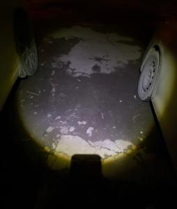 IMG_2835.jpeg