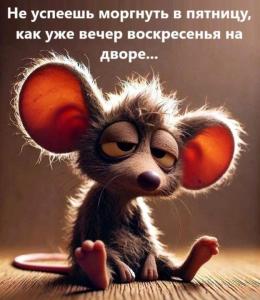 b9708277b0253fa51847c4dab4d0ebdf.jpg