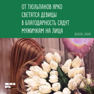 rej2w75g_lg.thumb.png.6184729ffc1c7412989cf3ff126562c9.png
