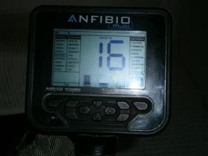 анфибия фотки новые 005.JPG