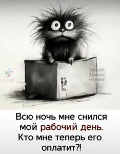 043d550a07cba3b2a50abd82537391c7.jpg