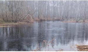 05005124-A8EB-486F-9ED2-680E393F35E9.thumb.jpeg.64fa434343e824e8d17b342c478b97c9.jpeg