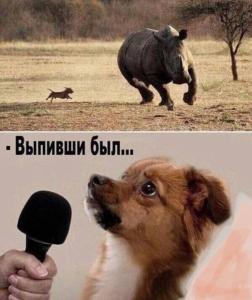 074a0a97f5c51dae6d96fc5777c539fb.thumb.jpg.a4ce153a85d7fafe00badba1f30419cd.jpg