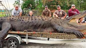 1680289045_animals-pibig-info-p-samii-bolshoi-krokodil-v-mire-zhivotnie-in-1.thumb.jpg.0c85aeca221910fd38fa971f94880f44.jpg